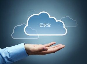 深信服三大基因特性 透視云安全與互聯(lián)網(wǎng)安全服務